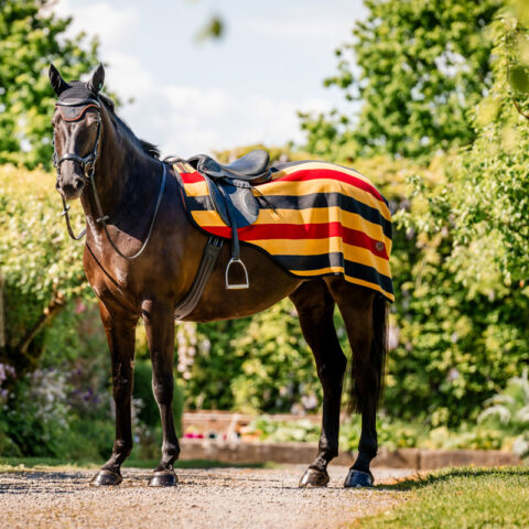 Horseware Newmarket Exercise Sheet Gold