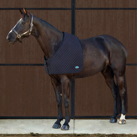 Weatherbeeta Deluxe Shoulder Guard