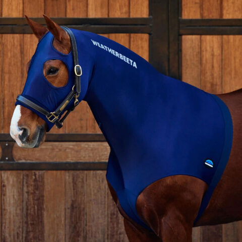 Weatherbeeta Stretch Hood With Zip