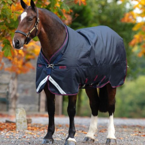 Amigo Bravo 12 XL Lite Turnout Rug Navy/Red