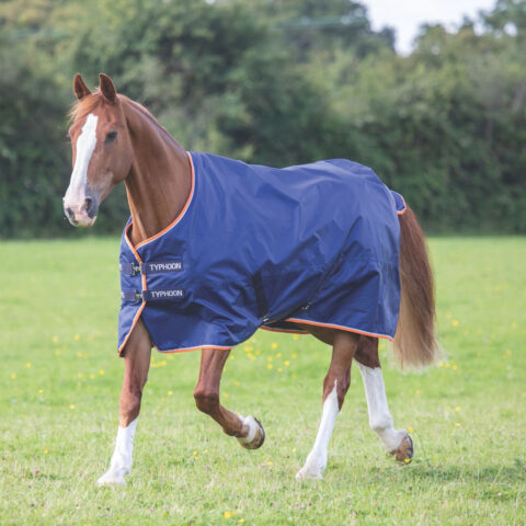 Typhoon 100gm Turnout Rug Navy