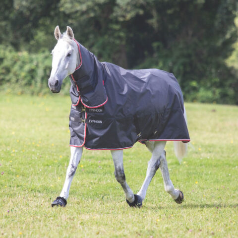 Typhoon 200gm Combo Turnout Rug Black