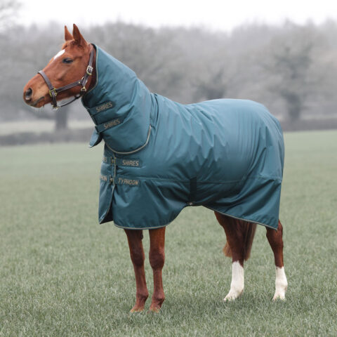 Typhoon 200gm Combo Turnout Rug Green