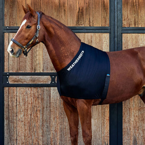 Weatherbeeta Stretch Shoulder Guard