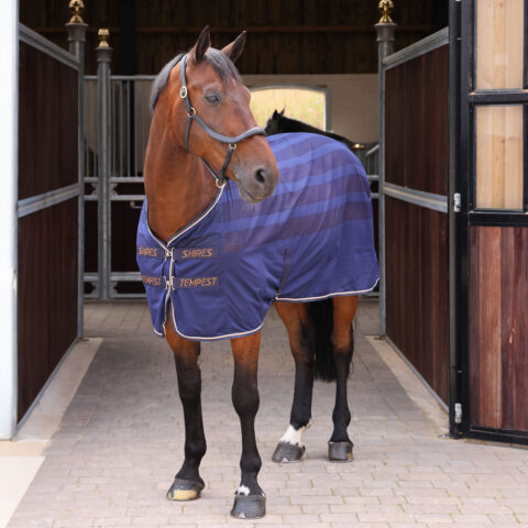 Tempest Original Scrim Cooler Rug Navy