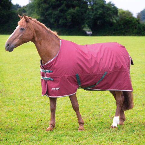 Tempest Original 200 Turnout Rug Maroon