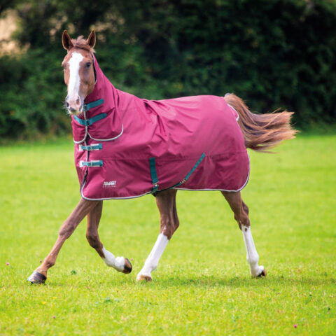 Tempest Original 200 Combo Turnout Rug Maroon