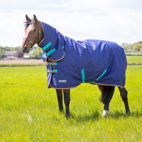Tempest Original 100 Combo Turnout Rug Navy Blue