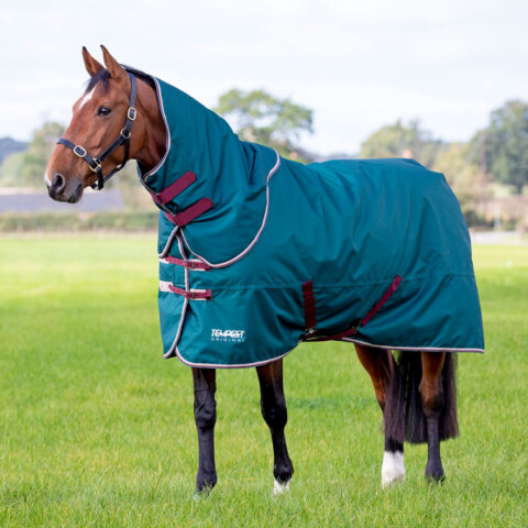 Tempest Original 200 Turnout Rug & Neck Set Green