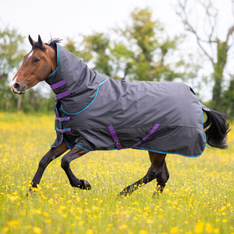 Tempest Original 300 Turnout Rug & Neck Set Black