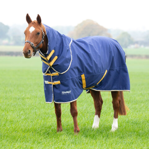 Tempest Original 50gm Turnout Rug & Neck Set Navy