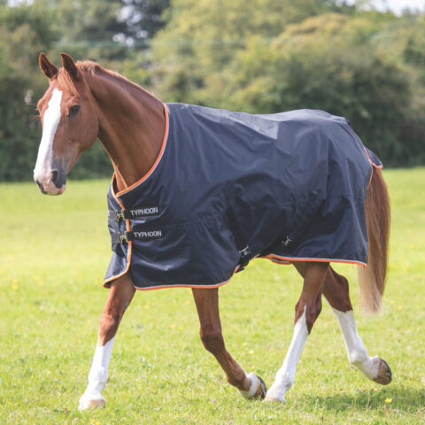Typhoon 200gm Standard Turnout Rug Black