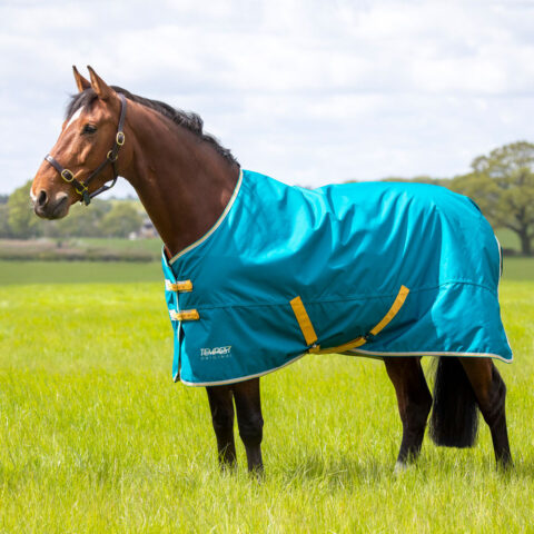 Tempest Original 50gm Turnout Rug Blue