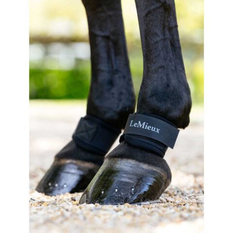 LeMieux Neoprene Pastern Wrap