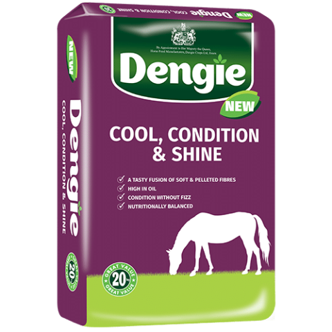 Dengie Cool, Condition & Shine