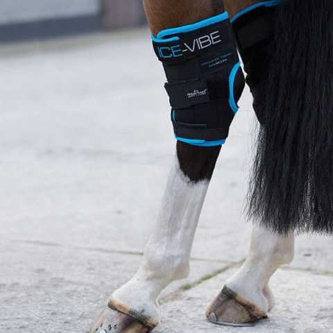 Ice-Vibe Hock Boot