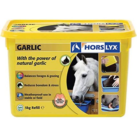 Horslyx Garlic Lick 5kg