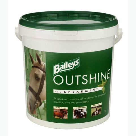 Baileys Outshine with Spearmint 5kg