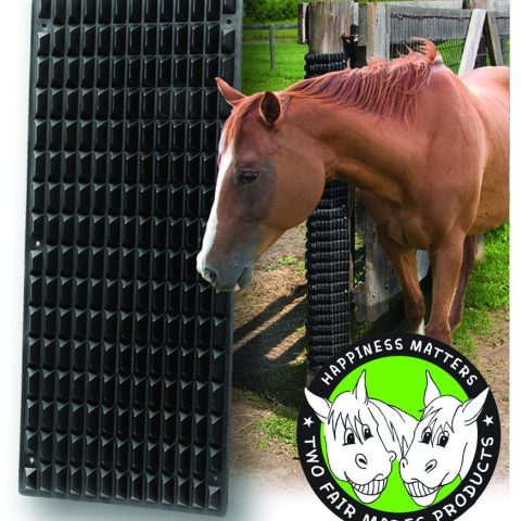 Equine Scratcher