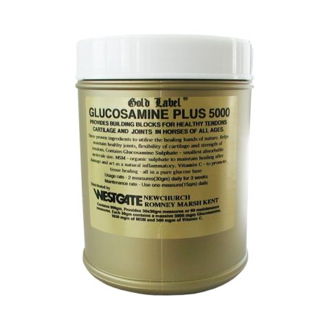 Gold Label Glucosamine Plus 900gm