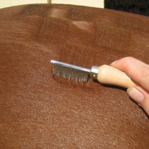 Quarter Marking Comb