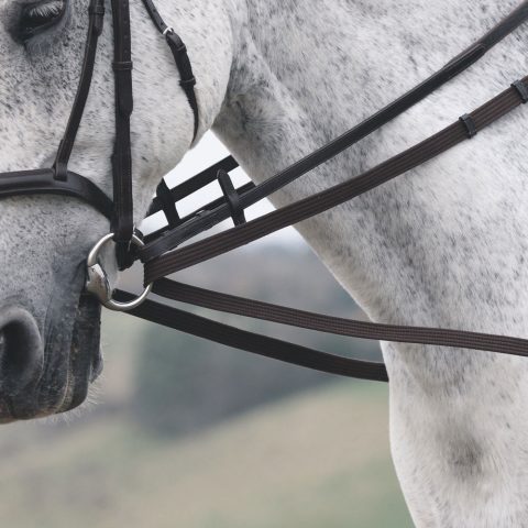 Velociti GARA Cotton Web Draw/Running Reins