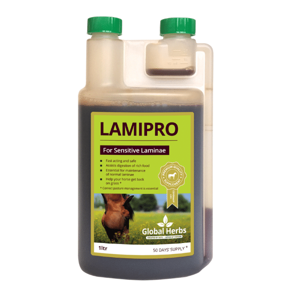 Global Herbs LamiPro