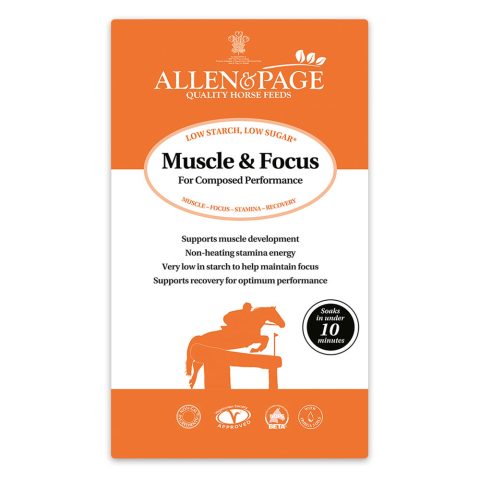 Allen and Page Muscle & Focus