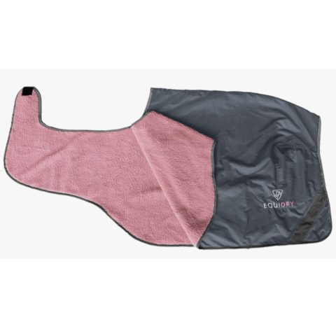 EQUIDRY Exercise Sheet