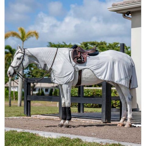 Amigo Fly Rider Silver