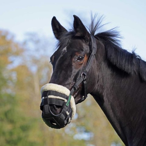 Shires FreeGraze Airflow Grazing Muzzle