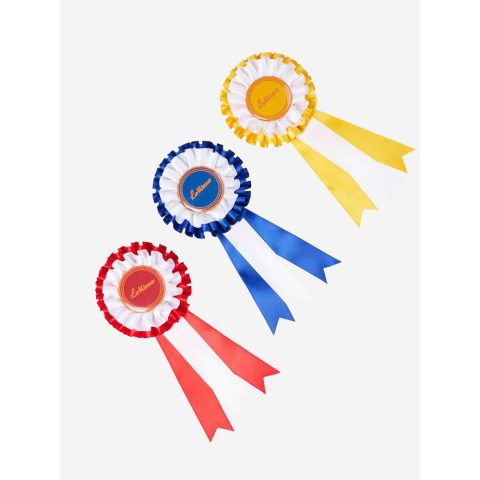 LeMieux Toy Hobby Horse Rosette Pack