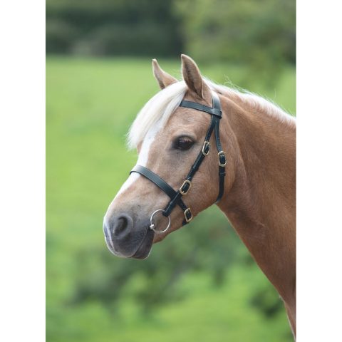 Velociti GARA Plain Inhand Bridle