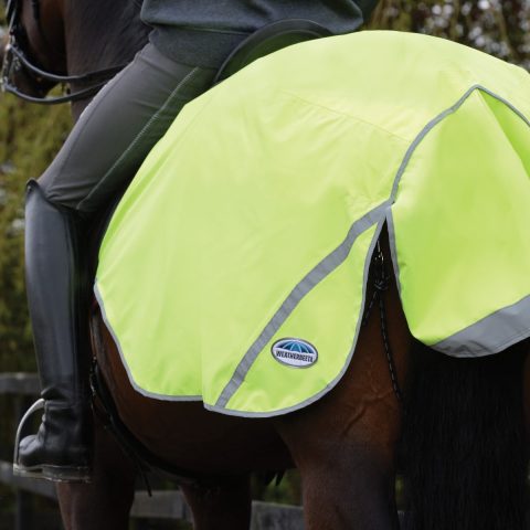 Medium Weatherbeeta 300D Reflective Exercise Sheet Yellow