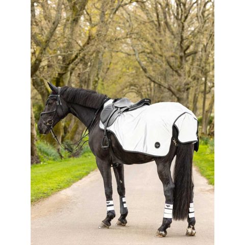 LeMieux Reflective Exercise Sheet