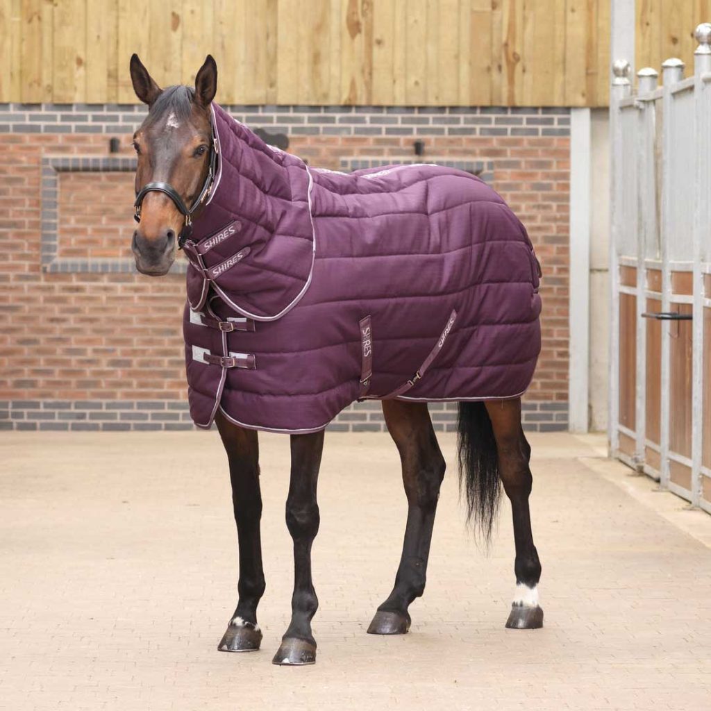 Stable Rug For Cobs Tempest 300gm Stable Rug & Neck Set Burgundy – Ingatestone Saddlery