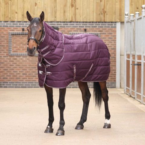 Tempest 300gm Stable Rug & Neck Set Burgundy