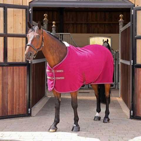 Tempest Original Fleece Rug Maroon