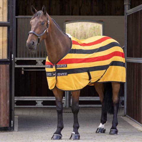 Tempest Original Newmarket Fleece Rug Gold