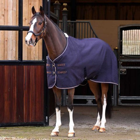 Tempest Original Waffle Cooler Rug Navy