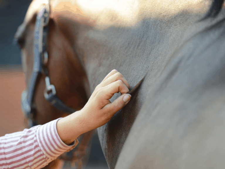 Is my horse dehydrated?