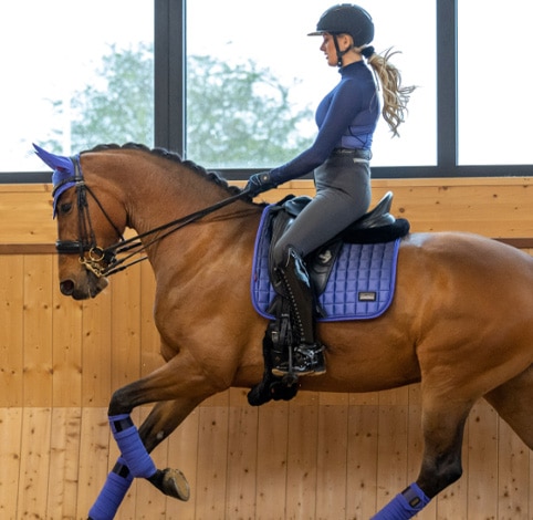 LeMieux Spectrum Bluebell