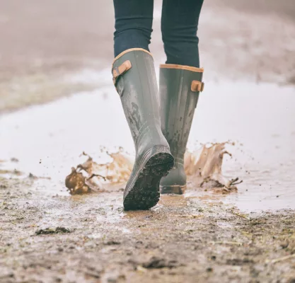 Ariat Burford Wellies