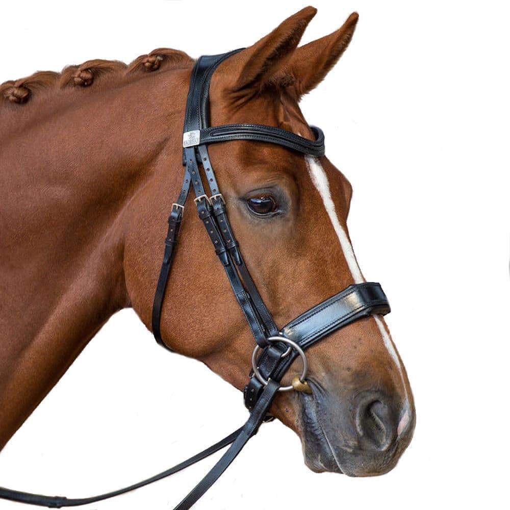 Fairfax performance bridle