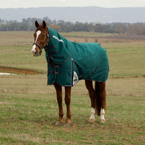 Weatherbeeta Plus Dynamic Turnout Detach A Neck 100gm