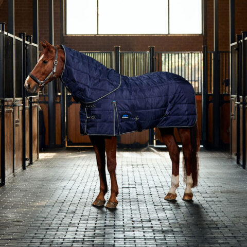 Weatherbeeta Comfitec Channel Quilt Stable Rug Detach A Neck 220gm