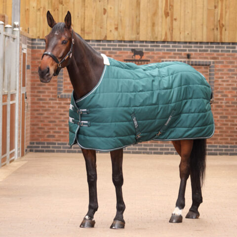 Tempest Original 200gm Stable Rug Emerald