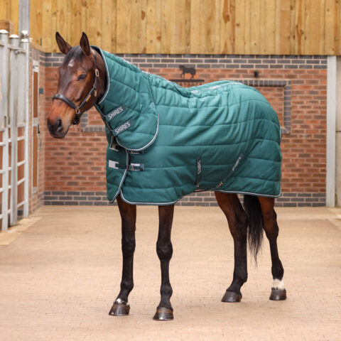 Tempest Original 200gm Combo Stable Rug