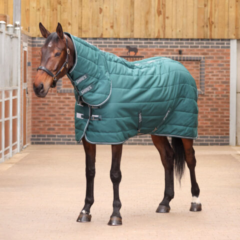 Tempest Original 200gm Stable Rug & Neck Set Emerald