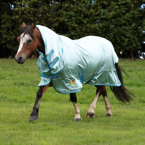 Winnie & Me Fly Combo Pony Rug
